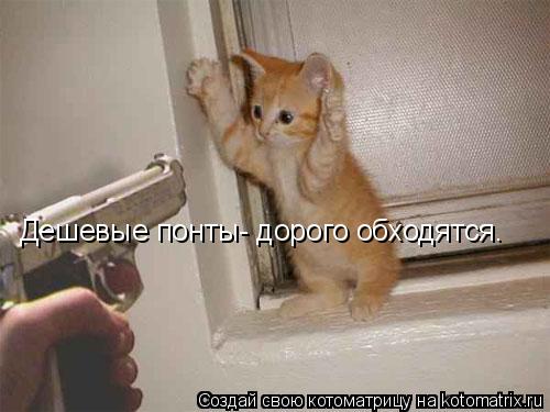 Дешевые понты- дорого обходятся.... Котоматрица: Дешевые понты- дорого обходятся.