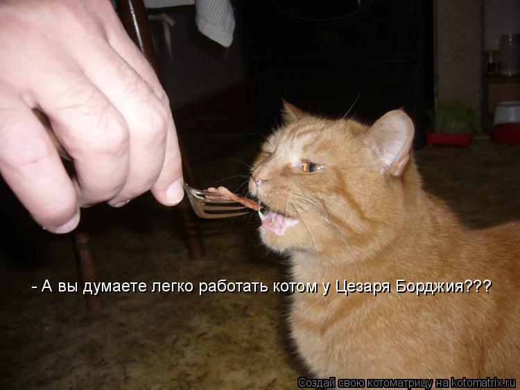 - А вы думаете легко работать котом у Цезаря Борджия???... Котоматрица: - А вы думаете легко работать котом у Цезаря Борджия???