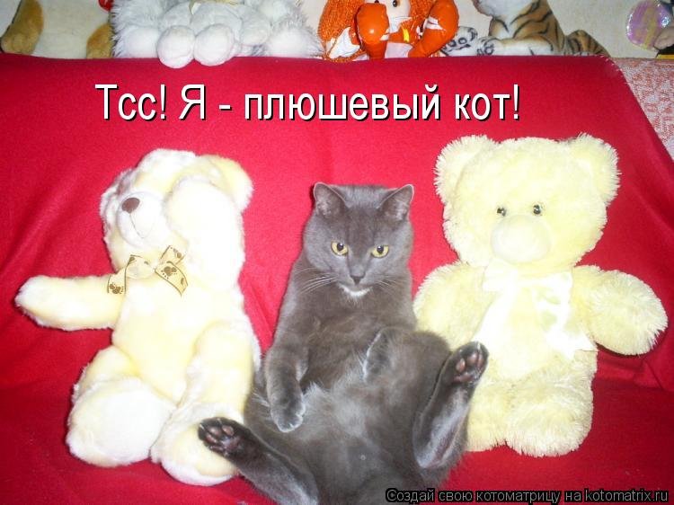 Тсс! Я - плюшевый кот!... Котоматрица: Тсс! Я - плюшевый кот!