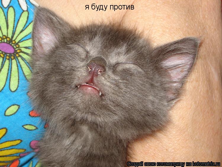 я буду против... Котоматрица: я буду против