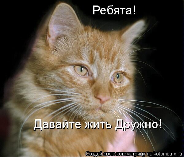 Ребята! Давайте жить Дружно!... Котоматрица: Ребята! Давайте жить Дружно!