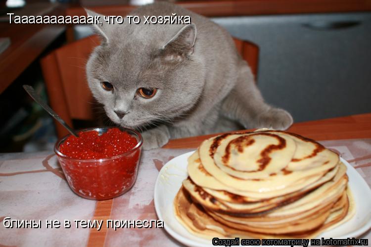 Тааааааааааак,что то хозяйка блины не в тему принесла... Котоматрица: Тааааааааааак,что то хозяйка блины не в тему принесла
