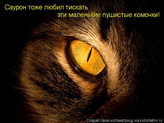 Саурон тоже любил тискать эти маленькие пушистые комочки!... Котоматрица: Саурон тоже любил тискать эти маленькие пушистые комочки!