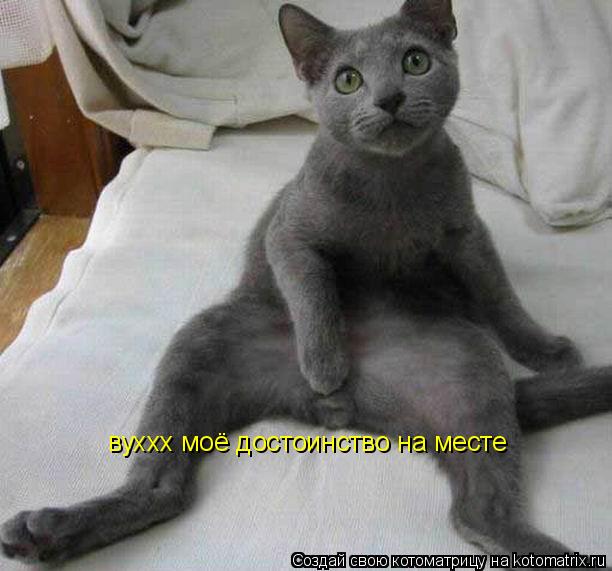 вуххх моё достоинство на месте... Котоматрица: вуххх моё достоинство на месте