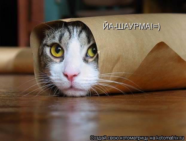 ЙА-ШАУРМА!=)... Котоматрица: ЙА-ШАУРМА!=)