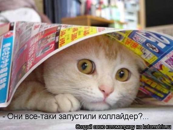 - Они все-таки запустили коллайдер?...... Котоматрица: - Они все-таки запустили коллайдер?...