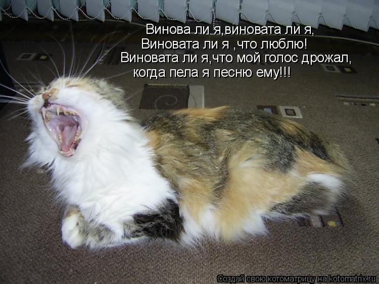 Винова ли я,виновата ли я, Виновата ли я ,что люблю! Виновата ли я,что мой голос дрожал, когда пела я... Котоматрица: Винова ли я,виновата ли я, Виновата ли я ,что люблю! Виновата ли я,что мой голос дрожал, когда пела я песню ему!!!