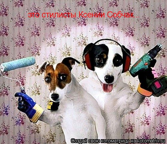 это стилисты Ксении Собчак...... Котоматрица: это стилисты Ксении Собчак...