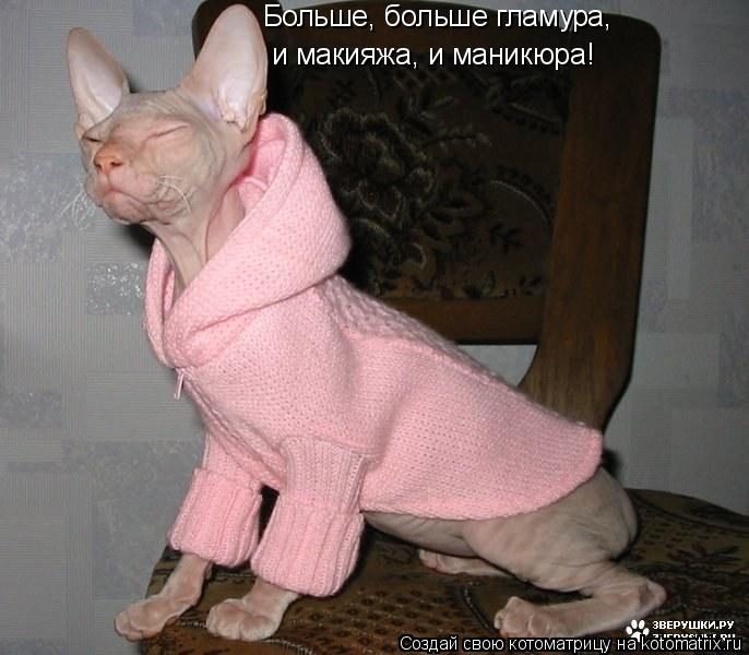 Больше, больше гламура, и макияжа, и маникюра!... Котоматрица: Больше, больше гламура, и макияжа, и маникюра!