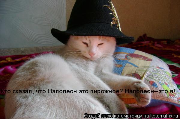 Кто сказал, что Наполеон это пирожное? Наполеон--это я!... Котоматрица: Кто сказал, что Наполеон это пирожное? Наполеон--это я!