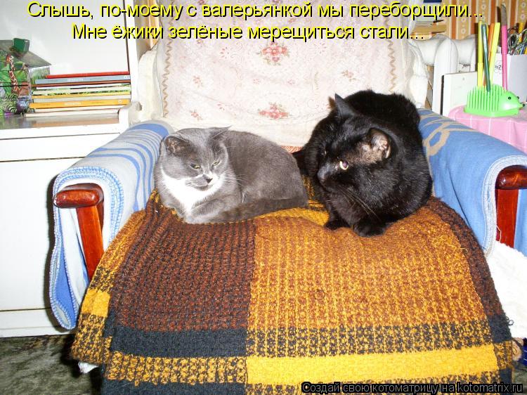 Слышь, по-моему с валерьянкой мы переборщили... Мне ёжики зелёные мерещиться стали...... Котоматрица: Слышь, по-моему с валерьянкой мы переборщили... Мне ёжики зелёные мерещиться стали...