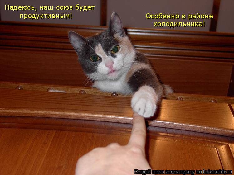 Надеюсь, наш союз будет продуктивным! Особенно в районе холодильника!... Котоматрица: Надеюсь, наш союз будет продуктивным! Особенно в районе холодильника!