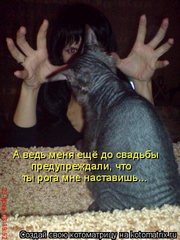 А ведь меня ещё до свадьбы предупреждали, что ты рога мне наставишь...... Котоматрица: А ведь меня ещё до свадьбы предупреждали, что ты рога мне наставишь...