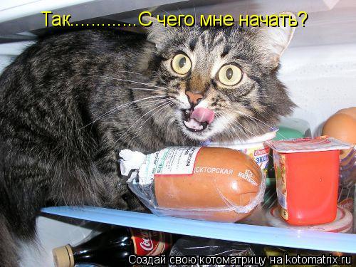 Так.............С чего мне начать?... Котоматрица: Так.............С чего мне начать?