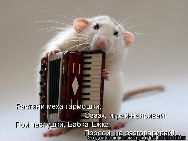 Растяни меха гармошки, Ээээх, играй-наяривай! Пой частушки, Бабка-Ежка, Поооой, не разговаривай!...... Котоматрица: Растяни меха гармошки, Ээээх, играй-наяривай! Пой частушки, Бабка-Ежка, Поооой, не разговаривай!...