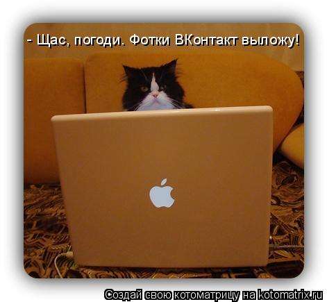 - Щас, погоди. Фотки ВКонтакт выложу!... Котоматрица: - Щас, погоди. Фотки ВКонтакт выложу!