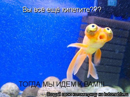 Вы всё ещё кипетите??? Вы всё ещё кипетите??? ТОГДА МЫ ИДЕМ К ВАМ!!!... Котоматрица: Вы всё ещё кипетите??? Вы всё ещё кипетите??? ТОГДА МЫ ИДЕМ К ВАМ!!!