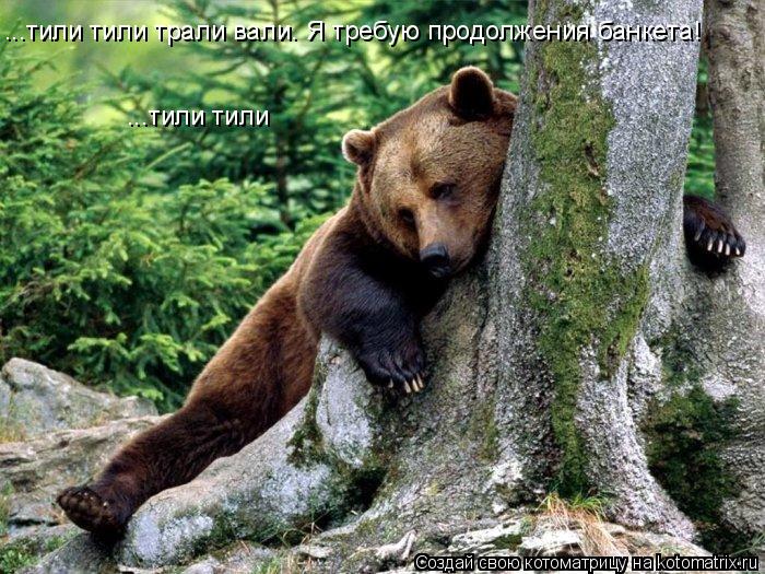 ...тили тили трали вали. Я требую продолжения банкета! ...тили тили... Котоматрица: ...тили тили трали вали. Я требую продолжения банкета! ...тили тили