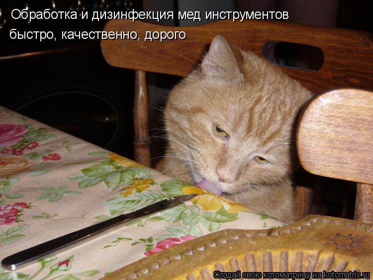 Обработка и дизинфекция мед инструментов быстро, качественно, дорого... Котоматрица: Обработка и дизинфекция мед инструментов быстро, качественно, дорого