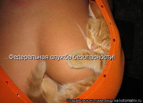 ...Федеральная служба безопасности!... Котоматрица: ...Федеральная служба безопасности!