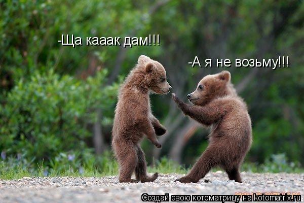 -Ща кааак дам!!! -А я не возьму!!!... Котоматрица: -Ща кааак дам!!! -А я не возьму!!!