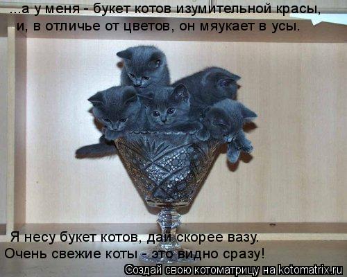 ...а у меня - букет котов изумительной красы, и, в отличье от цветов, он мяукает в усы. Я несу буке... Котоматрица: ...а у меня - букет котов изумительной красы, и, в отличье от цветов, он мяукает в усы. Я несу букет котов, дай скорее вазу. Очень свежие коты -
