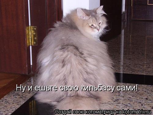 Ну и ешьте свою кильбасу сами!... Котоматрица: Ну и ешьте свою кильбасу сами!