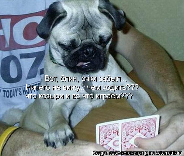 Вот, блин, очки забыл... Ничего не вижу... чем ходить??? что козыри и во что играем???... Котоматрица: Вот, блин, очки забыл... Ничего не вижу... чем ходить??? что козыри и во что играем???