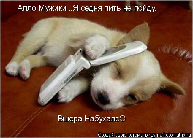 Алло Мужики...Я седня пить не пойду. Вшера НабухалсО... Котоматрица: Алло Мужики...Я седня пить не пойду. Вшера НабухалсО