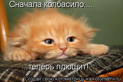Сначала колбасило.... ...теперь плющит!... Котоматрица: Сначала колбасило.... ...теперь плющит!