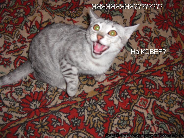 ЯЯЯЯЯЯЯЯЯ???????? На КОВЕР?... Котоматрица: ЯЯЯЯЯЯЯЯЯ???????? На КОВЕР?