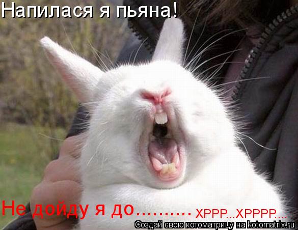 Напилася я пьяна! Не дойду я до.......... ХРРР...ХРРРР....... Котоматрица: Напилася я пьяна! Не дойду я до.......... ХРРР...ХРРРР....