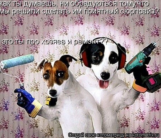 как ты думаешь, ни обрадуються тому,что мы решили сделать им приятный сюрпрайз? это ты про хозяев и ... Котоматрица: как ты думаешь, ни обрадуються тому,что мы решили сделать им приятный сюрпрайз? это ты про хозяев и ремонт??