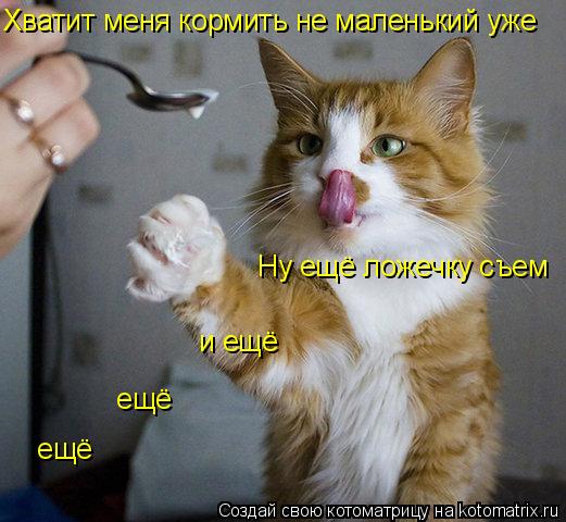 Хватит меня кормить не маленький уже Ну ещё ложечку съем и ещё ещё ещё... Котоматрица: Хватит меня кормить не маленький уже Ну ещё ложечку съем и ещё ещё ещё