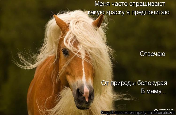 Меня часто спрашивают какую краску я предпочитаю Отвечаю От природы белокурая В маму...... Котоматрица: Меня часто спрашивают какую краску я предпочитаю Отвечаю От природы белокурая В маму...