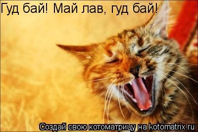 Гуд бай! Май лав, гуд бай!... Котоматрица: Гуд бай! Май лав, гуд бай!