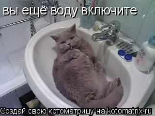 вы ещё воду включите... Котоматрица: вы ещё воду включите