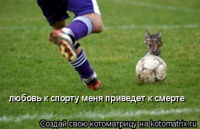 любовь к спорту меня приведет к смерте... Котоматрица: любовь к спорту меня приведет к смерте