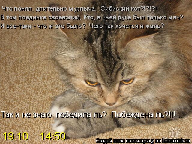 Что понял, длительно мурлыча, Сибиский кот?!?!?! В том поединке своеволий, Кто, в чьей руке был толь... Котоматрица: Что понял, длительно мурлыча, Сибиский кот?!?!?! В том поединке своеволий, Кто, в чьей руке был только мяч? И все-таки - что ж это было? Чего так
