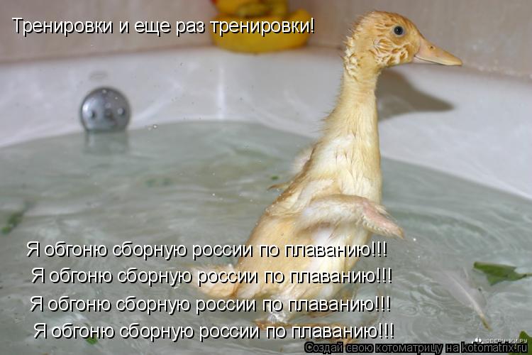 Я обгоню сборную россии по плаванию!!! Я обгоню сборную россии по плаванию!!! Я обгоню сборную россии... Котоматрица: Я обгоню сборную россии по плаванию!!! Я обгоню сборную россии по плаванию!!! Я обгоню сборную россии по плаванию!!! Я обгоню сборную россии по