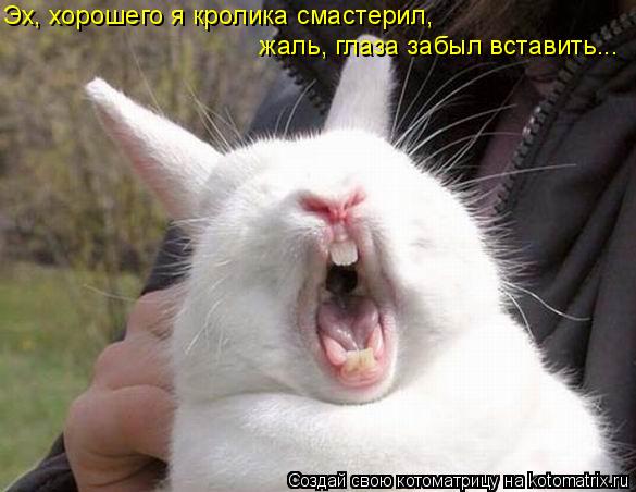 Эх, хорошего я кролика смастерил, жаль, глаза забыл вставить...... Котоматрица: Эх, хорошего я кролика смастерил, жаль, глаза забыл вставить...