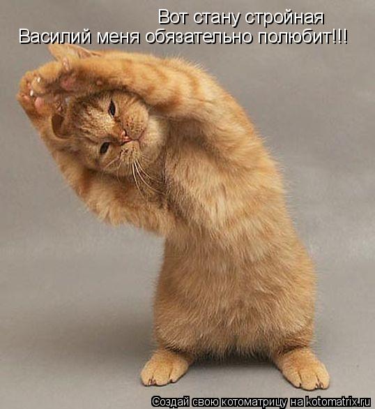 Вот стану стройная Василий меня обязательно полюбит!!!... Котоматрица: Вот стану стройная Василий меня обязательно полюбит!!!