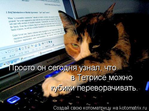 Просто он сегодня узнал, что в Тетрисе можно кубики переворачивать.... Котоматрица: Просто он сегодня узнал, что в Тетрисе можно кубики переворачивать.