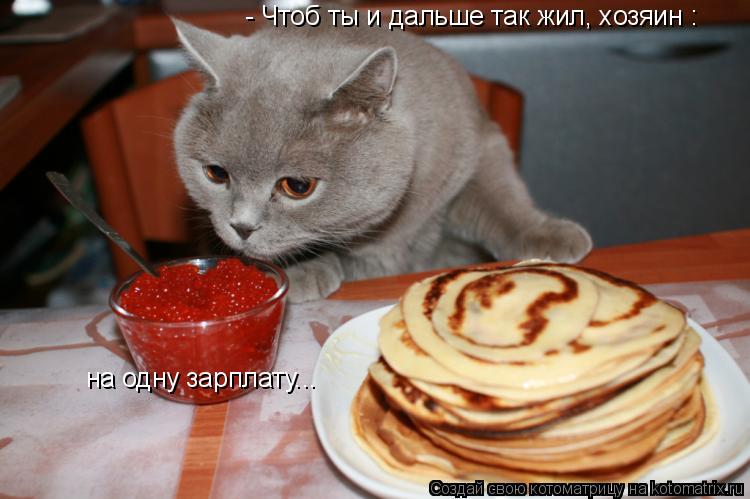 - Чтоб ты и дальше так жил, хозяин : на одну зарплату...... Котоматрица: - Чтоб ты и дальше так жил, хозяин : на одну зарплату...