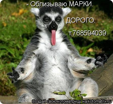 - Облизываю МАРКИ. ДОРОГО. т.768594039... Котоматрица: - Облизываю МАРКИ. ДОРОГО. т.768594039