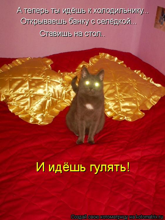 А теперь ты идёшь к холодильнику... Открываешь банку с селёдкой... Ставишь на стол.. И идёшь гулять!... Котоматрица: А теперь ты идёшь к холодильнику... Открываешь банку с селёдкой... Ставишь на стол.. И идёшь гулять!