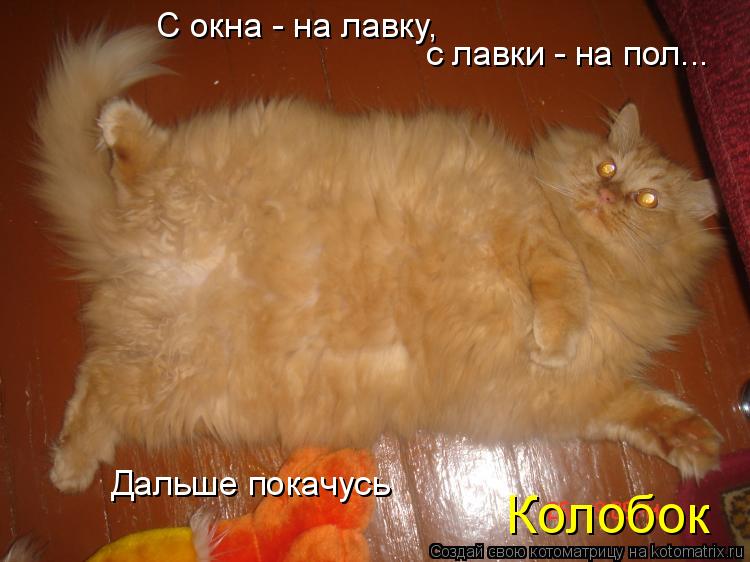 С окна - на лавку, с лавки - на пол... Дальше покачусь Колобок... Котоматрица: С окна - на лавку, с лавки - на пол... Дальше покачусь Колобок
