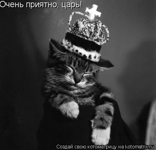 Очень приятно, царь!... Котоматрица: Очень приятно, царь!