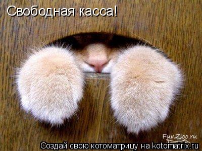 Свободная касса!... Котоматрица: Свободная касса!
