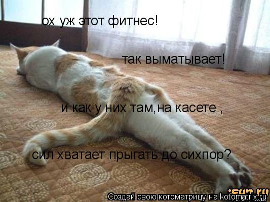 ох уж этот фитнес! так выматывает! и как у них там,на касете , сил хватает прыгать до сихпор?... Котоматрица: ох уж этот фитнес! так выматывает! и как у них там,на касете , сил хватает прыгать до сихпор?